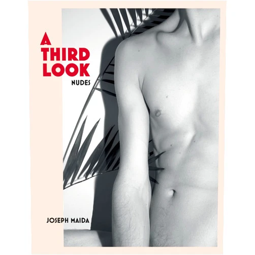 Joseph Maida,Zackary Drucker A Third Look