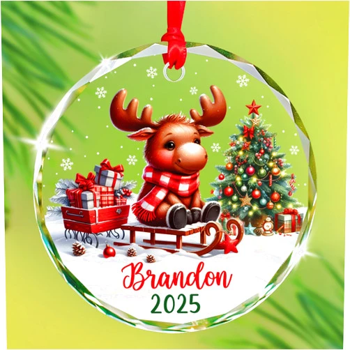 CrazyPrintGifts 2025 Moose Christmas Ornaments, Custom Baby's Name Glass Xmas Tree Decor, Moose Sleigh Keepsake Ornament Gifts for Kids Son Daughter Grandchild, Personalized Winter Animal Glass Keepsake Decor 2025