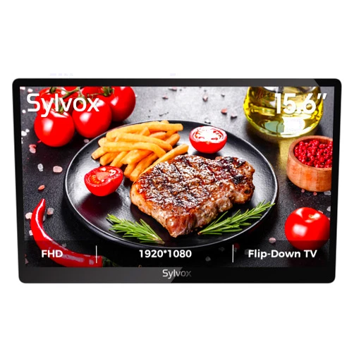 SYLVOX 15.6