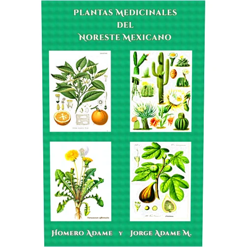 Homero Adame,Jorge Adame M. Plantas medicinales del noreste mexicano (Biblioteca Homero Adame: Investigación) (Spanish Edition)
