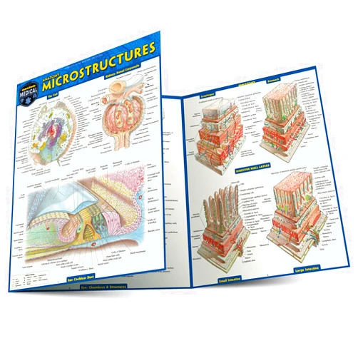 Vincent Perez Anatomy Microstructures: a QuickStudy Laminated Reference Guide