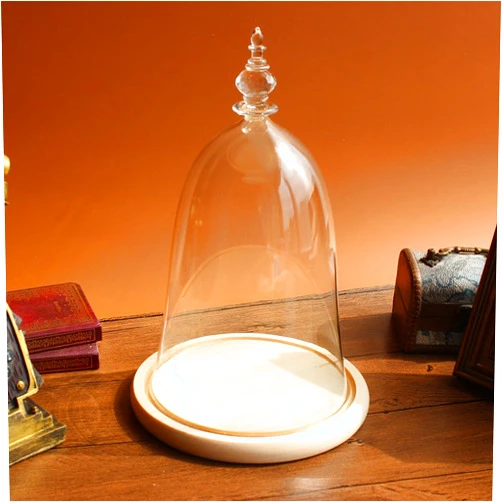 Siyaglass Glass Display Dome with Wooden Base Inspired by Beauty and The Beast