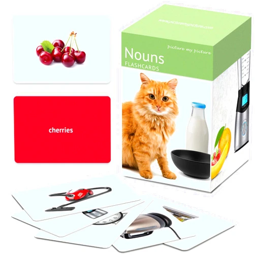 Picture My Picture Nouns Flash Cards: 200 Modern Language Photo Cards | Vocabulary Builder | Toddler Flash Cards for Speech Therapy | Preschool Learning Activities | ESL Teaching Materials | Autism Learning Materials