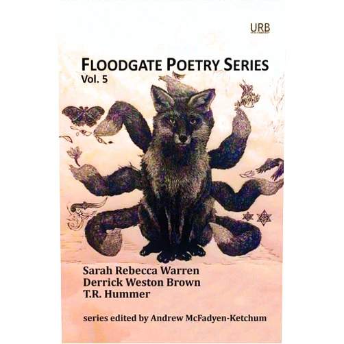 Sarah Rebecca Warren,Derrick Weston Brown,T. R. Hummer,Andrew McFadyen-Ketchum Floodgate Poetry Series Vol. 5