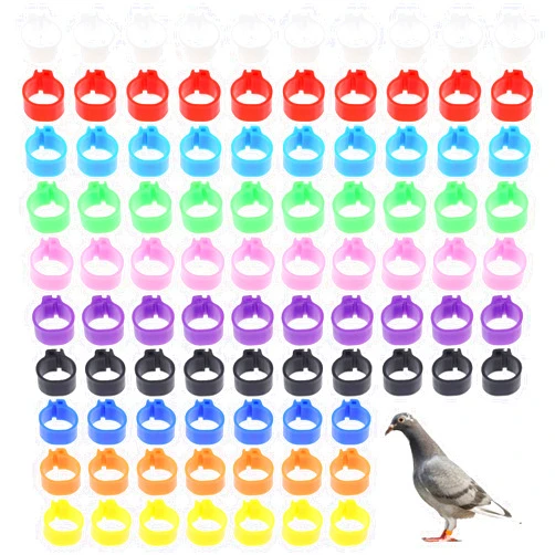 OATIPHO Chicken Leg Rings, 100pcs Bird Leg Bands, 8mm Pigeon Bands, Plastic Multi- Colour Pigeon Foot Bands Clip On Leg Rings Poultry Tags Numbered for Chicks, Small Birds, Bantam