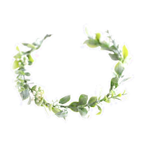 FIDDY898 Green Leaf Flower Crown Eucalyptus Crown Wedding Bridal Maternity Photo Props Headpiece Style1