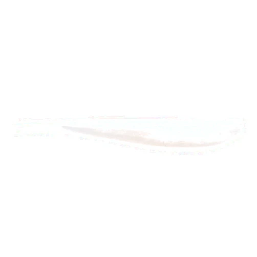 Lunker City Lure 43600-36 Fin-S Fish, 4