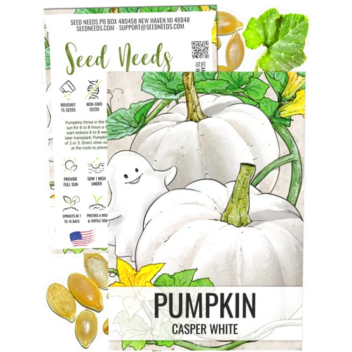 Seed Needs, Casper White Pumpkin Seeds for Planting an Organic Pumpkin Patch - Illustrated Seed Packet with Sowing Instructions - Non-GMO & Untreated (1 Pack)