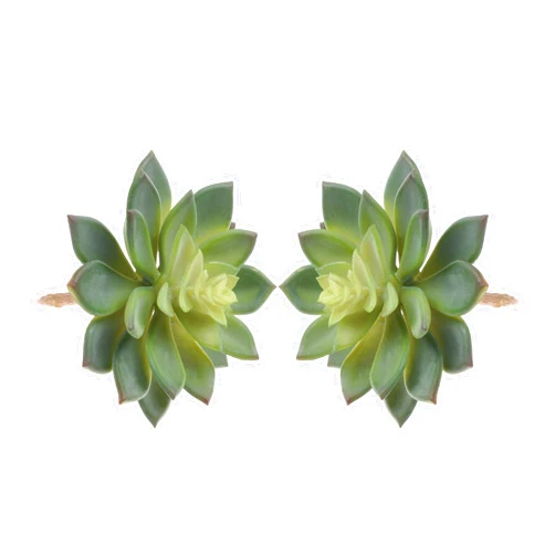BCP Pack of 2 Realistic Cute Green Home Garden Artificial Plastic Snowdrop Echeverias Succulent Plants Unpotted