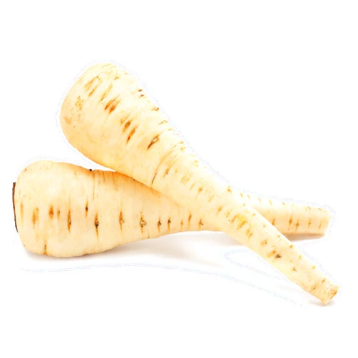 RDR Seeds 500+ Parsnip Seeds for Planting - Harris Model - Heirloom, Non-GMO, USA Grown - Slender Roots, Sweet Flavor, Frost-Tolerant - by RDR Seeds