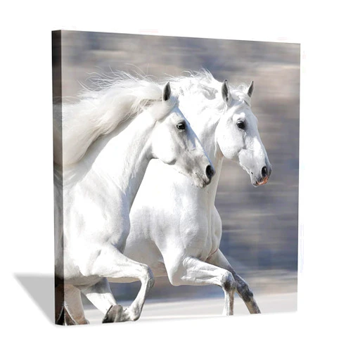 Hardy Gallery White Horse Picture Wall Art: Running Animal Artwork Painting Print on Wrapped Canvas for Bedroom (12'' x 12'')