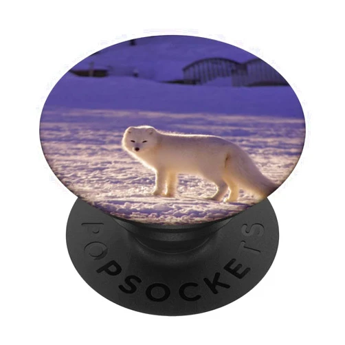 White Fox Acratic Theme Background White Fox Acratic Fox Snow Winter Theme Lover Iceland PopSockets Swappable PopGrip