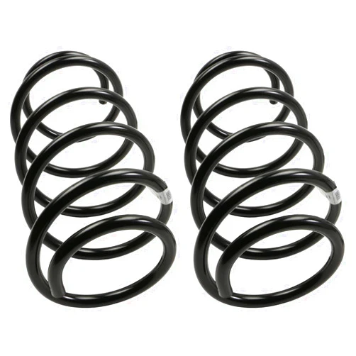 MOOG 81698 Coil Spring Set for Nissan Sentra