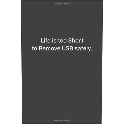 ZiReos art Life is too short to remove USB safely.: Lined notebook
