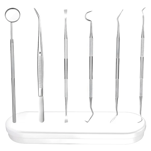 Ceonam 6 Pieces Dental Tools Set, Professional Stainless Steel Dental Hygiene Cleaning Kit with Case, Including Dental Mirror, Plaque Tartar Remover for Teeth, Tweezers, Probe, and Pick Scaler for Oral Care