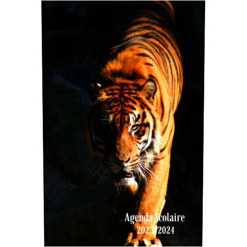 LE PETIT KONGOUROU AGENDA SCOLAIRE 2023-2024: TIGRE - pour une année scolaire organisée | format pratique 208 pages , 2 jours par page (French Edition)