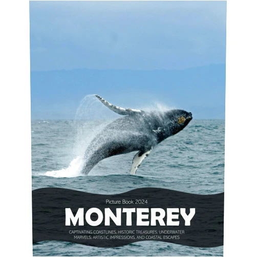 By Rosel Rosel (Author) Monterey: A Visual Journey Through Captivating Coastlines, Historic Treasures, Underwater Marvels, and Coastal Escapes - Coffee Table Picture Book or ... & travel lovers.....Relaxing & Meditation.