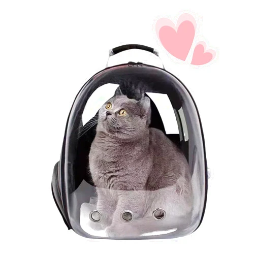 Mrichltm Cat Backpack Bubble, Cats and Dogs Pet Carrier Hard, Suitable for Cats Traveling Cat Bag Carrier, Transparent Outdoor Waterproof Spacecraft Pet Backpack Carrier(Black)