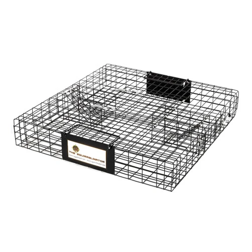 Rugged Ranch Squirrelinator 2 Door Small Metal Wire Multi-Catch Live Animal Squirrel Catch & Release Cage Trap for Pest Control, Black