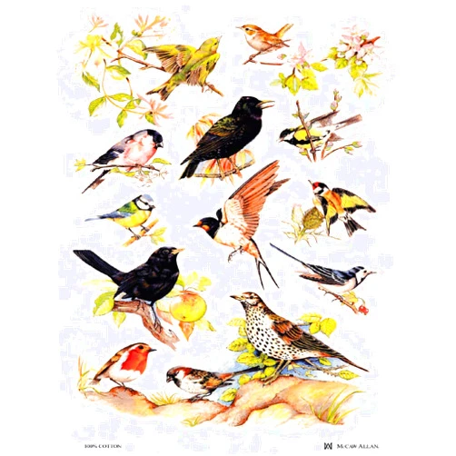 Samuel Lamont, 'British Birds' Kitchen/Tea Towel, Imported, 100 Percent Cotton