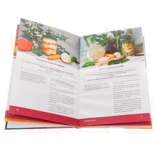 Russian Edition by Potapova N. (Author) Zimnie salaty