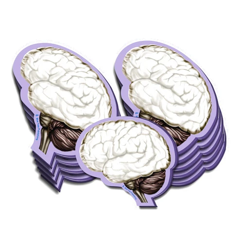 Blue Tree Publishing Anatomy Sticky Notes (Brain 10 Pack)