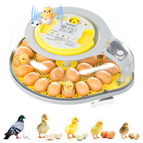 IBKINXX 26 Egg Incubator for Hatching Eggs with Smart Voice Guidance, 360° View with Automatic Temperature & Humidity Control, Auto Egg Turning & Built-in Egg Candler for Chicken, Duck, Goose & Quail