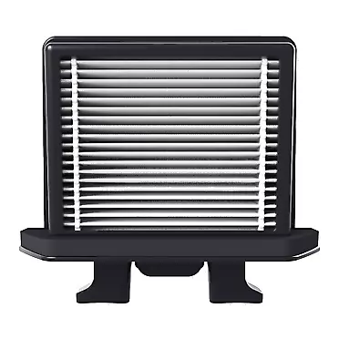 Raycop RN Replacement HEPA Filter - 2 Pack