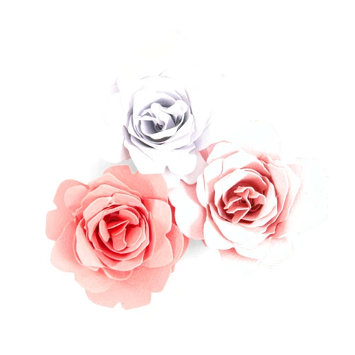 Sizzix Bigz Die Blooms, Multicolor Grace