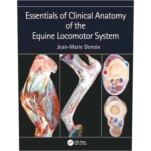 Jean-Marie Denoix Essentials of Clinical Anatomy of the Equine Locomotor System