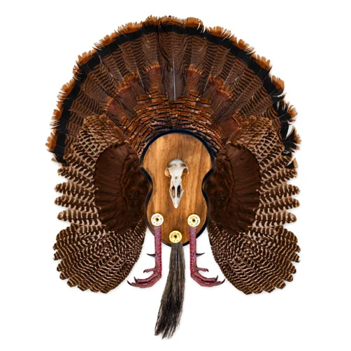 Mountain Mike's Reproductions Ultimate Turkey Mounting Kit, Plaque, Beard, Fan, Universal (Model: MMR UTP)