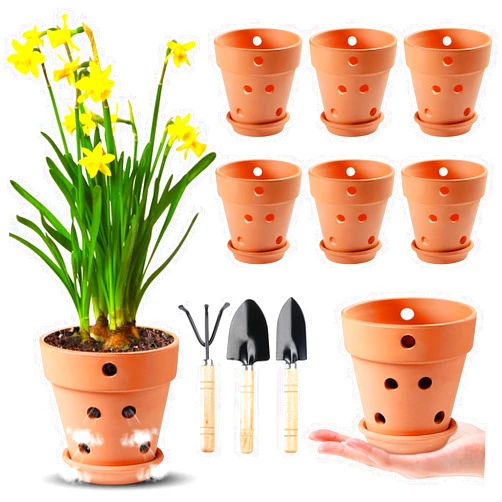 FELISTORY 4 Inch Terracotta Orchid Pots with Holes and Saucers, 6 Pack Small Terra Cotta Clay Orchid Planter Pots for Plant Flower Pots for Orchid Indoor and Outdoor Promotes Air Circulatio