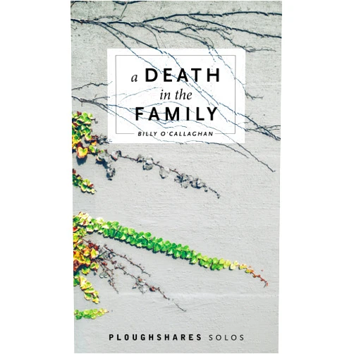 By Billy O'Callaghan (Author) Format: Kindle Edition A Death in the Family (Kindle Single) (Ploughshares Solos)