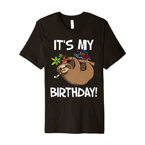 OKAI Birthday Tees It's My Birthday Cute Sloth Party Outfit Premium T-Shirt