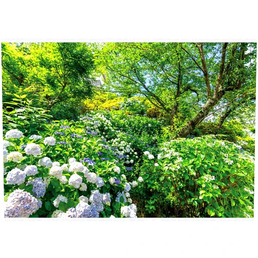 CSFOTO 8x6ft Spring Garden Backdrop Park Scenery Green Plants Flowers Big Trees Decoration Backdrop Spring Outdoor Field Country Nature Background