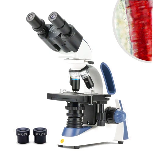 SWIFT SW380B 40X-2500X Magnification, Siedentopf Head, Research-Grade Binocular Compound Lab Microscope with Wide-Field 10X and 25X Eyepieces, Mechanical Stage, Ultra-Precise Focusing