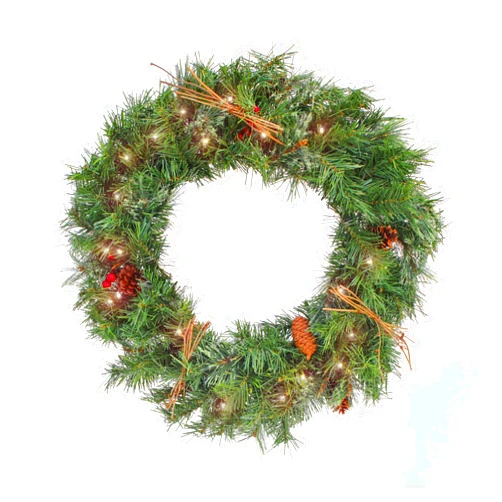 National Tree Company 24
