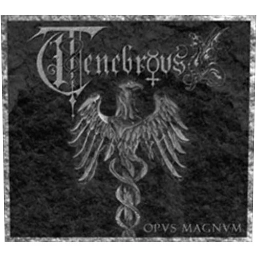 Tenebrous (Artist) Format: Audio CD Opus Magnum