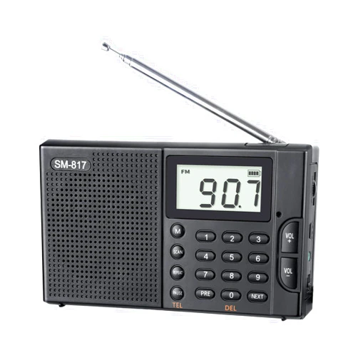 SEMIER Portable AM FM SW Bluetooth Radio with 1200mah Rechargeable Battery, Small Shortwave Radio Digital Tuning, LCD Display, Support USB and Micro SD Card, Build-in Bass Speaker and Earphone Jack