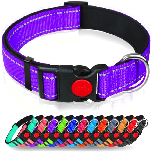 Taglory Reflective Dog Collar with Safety Locking Buckle, Adjustable Nylon Pet Collars for Medium Dogs Female Male, Purple, M