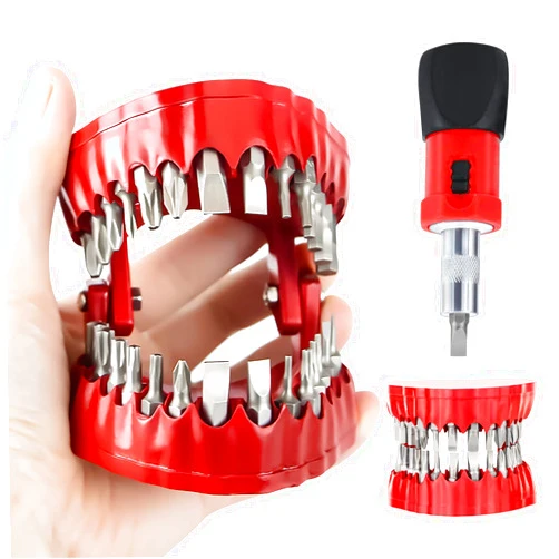 LISINAN Screwdriver Bit Organizing Holder Set | Magnetic Denture Drill Bit Holder with 28 Drill Bits |Fits 1/16