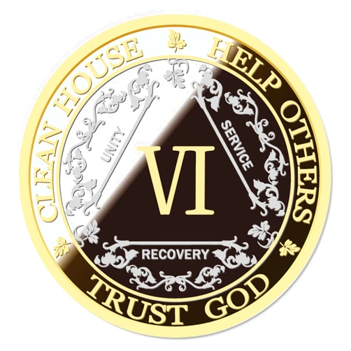 GOSIN Silver & Gold 1-10 Years Alcoholics Anonymous Medallion AA Coin Capsule Included (Six Years)