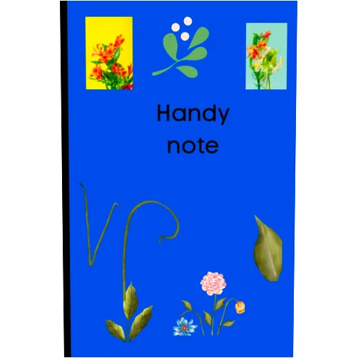Sundrg Health journal
