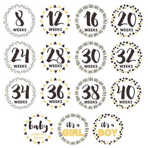 Hycodest Pregnancy Milestone Stickers Photo Record Baby Bump Dynamic Weekly Pregnancy Growth Sticker, Set of 15 Stickers