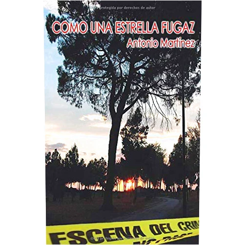 Antonio Martínez Martínez,Vicente Vázquez Martínez,Maribel Arrebola Galietero Como una estrella fugaz (Spanish Edition)