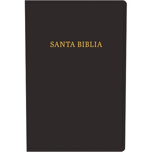 B&H Español Editorial Staff Biblia Reina Valera 1960 Letra Gigante. Piel fabricada, negro / Giant Print Bible RVR 1960. Bonded Leather, Black (Spanish Edition)