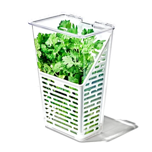OXO Good Grips Produce Saver – Herb Keeper, 4.5 x 6.0 x 11.3 in, White