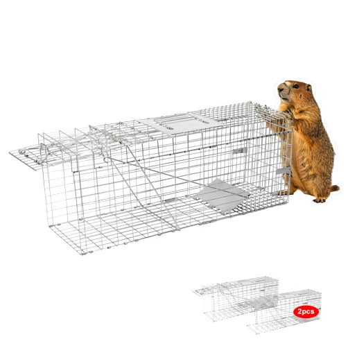 H&B Luxuries 2-Pack H&B Live Animal Cage Trap,Folding 32x10x12 inch Humane Cat Trap for Stray Cats,Raccoons,Squirrel,Skunk,Mole,Groundhog,Opossums Armadillo,Rabbit,Catch and Release(Silver)