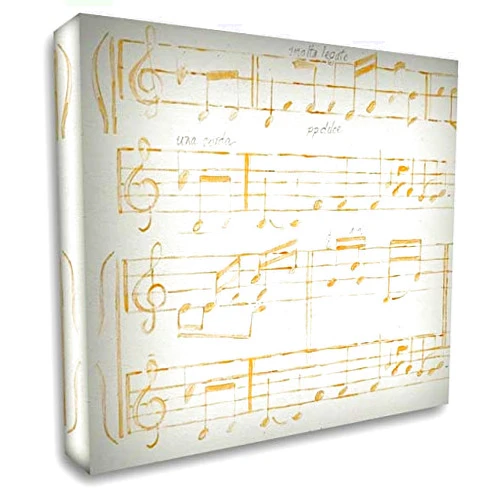 ArtDirect Music Notes 15x15 Gallery Wrapped Canvas Museum Art by Gaynor, Janice