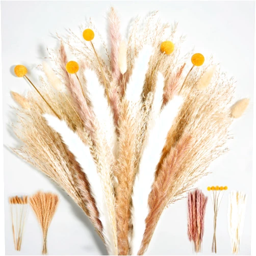 Luxclub Dried Pampas Grass Decor, 100 PCS 17 Inch Pampas Grass, Fluffy Bunny Tails Dried Flowers, Reed Grass Bouquet, Natural White Pampas for Wedding, Floor Vase Boho Flowers Home Decor Decorations